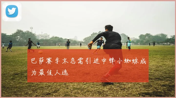 巴萨赛季末急需引进中锋小蜘蛛成为最佳人选